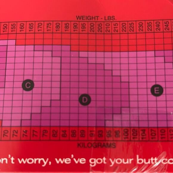 New w tags SPANX super high shaping sheers pantyhose Size D nude tummy control - Picture 6 of 7